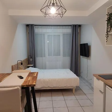Appartement Lyon Flachet