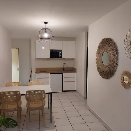 Appartement Lyon Flachet *